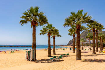 Palm trees on Teresitas beach near Santa Cruz, Tenerife, Canary islands, Spain © Mistervlad