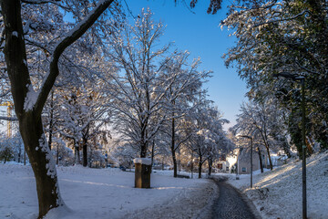 Winterlandschaft in einem Park bei Straubing