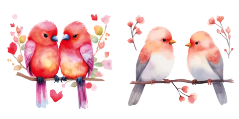 Tuinposter pair of love birds on a branch cute watercolor vectors © M