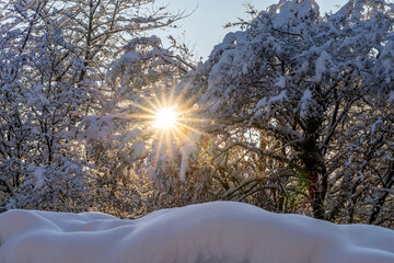 Winterlandschaft in einem Park bei Straubing