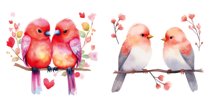 pair of love birds on a branch cute watercolor vectors