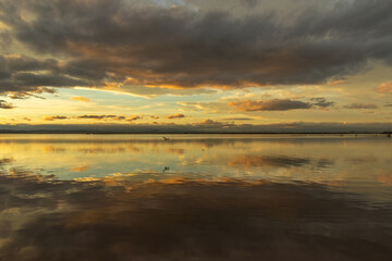 Obraz premium Reflecting clouds in Lake Albufera
