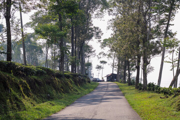footpath in the mountain