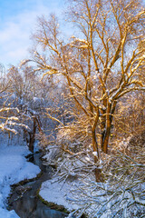 Winterlandschaft an einem Bach
