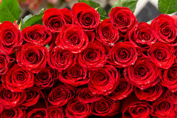 bouquet of red roses best gift 14 february valentines day