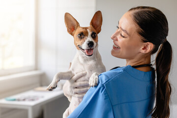 Vet holds happy dog for checkup