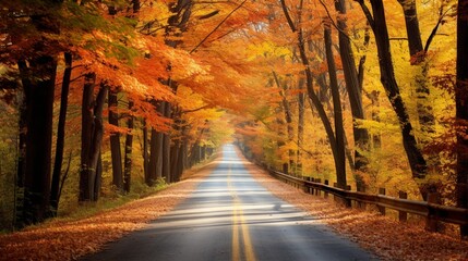 A country road disappearing into the distance amid fall colors - obrazy, fototapety, plakaty