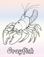 Crayfish In Sea Coloring Pages Drawing For Kids