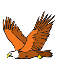 Eagle Vector with flying golden eagle