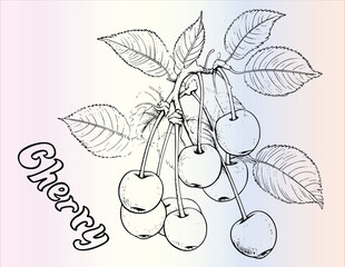 Cherry Coloring Page For Kids