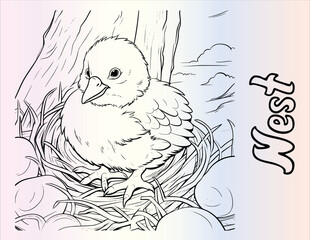 Chicks In The Nest Coloring Book Coloring Pages for Kids