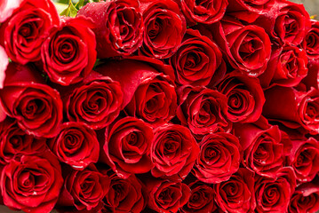 bouquet of red roses best gift 14 february valentines day