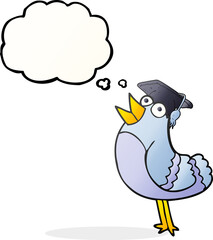 freehand drawn thought bubble cartoon bird wearing graduation cap