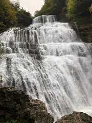 waterfall in the forest