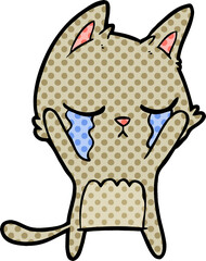 crying cartoon cat