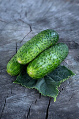 Fresh cucumbers on a dark wooden background. The concept of healthy nutrition, growing environmentally friendly products.