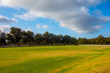 Views of the Polo fields, mountains, coastal beach views, and eucalyptus trees in Will Rogers State Historic Park in the Pacific Palisades
