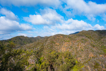 Naklejka premium Views of the Polo fields, mountains, coastal beach views, and eucalyptus trees in Will Rogers State Historic Park in the Pacific Palisades