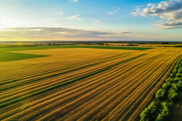 Obraz premium Aerial view on the field during sunset. Landscape from drone. Agricultural landscape from air. Agriculture - image