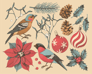 Big vector set of hand drawn winter flora and fauna - 689304316