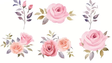 Fototapete Blumen  Pink rose flower bouquet collection with watercolo, decorative flower background pattern, PPT background