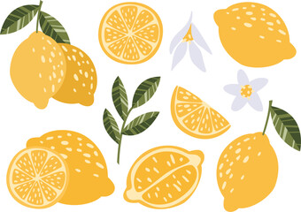 Lemon vector set. Hand drawn lemon, leaves, flowers