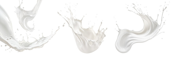 Set of milk splashes isolated on transparent background. Milk splashes and drops flying in different directions isolated on a white background.