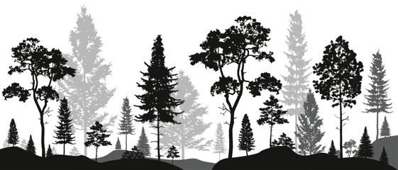 Forest landscape silhouettes panorama with pines, fir trees, cedars in black and gray tones. Editable vector illustration with isolated stand alone trees for your own design.