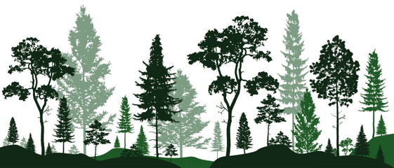 Green Forest landscape silhouettes panorama with pines, fir trees, cedars. Editable vector illustration with isolated stand alone trees for your own design. - obrazy, fototapety, plakaty