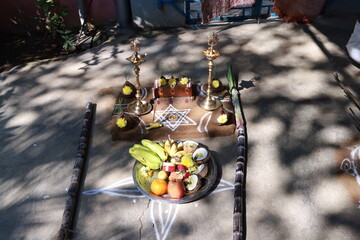 Traditional Thai Pongal festival celebration to sun god with sakkara or sweet pongal, pot, lamp,wood fire stove and sugarcane