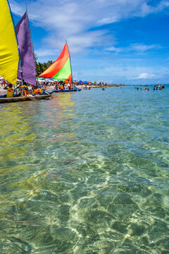 Jangadas of Brazil - Porto de Galinhas - Pernambuco state