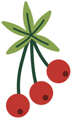 Decorative Winter Berries