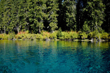 Blue Depths of Clear Lake in Oregon