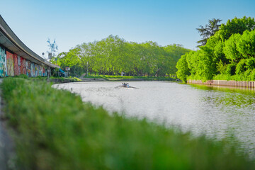 Rowing Boat Paddling on a River