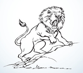 Vector drawing. An angry lion