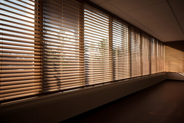 Venetian Blinds - France - Similar to Italian Venetian blinds, with different designs