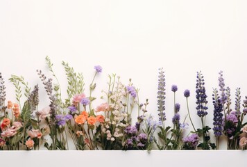 a arrangement of flowers arranged in a row,