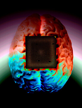 Human brain anatomical model with CPU processor microchip