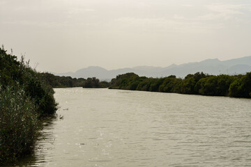 Albufera de Mallorca Natural Park, Muro, Mallorca island, Spain