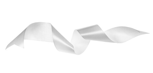 White ribbon fly isolated on white background, clipping path