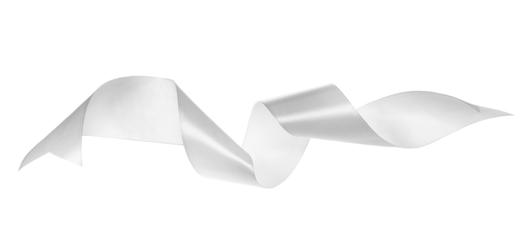 White ribbon fly isolated on white background, clipping path