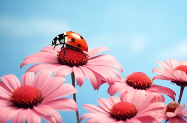 a red ladybug is on top of a flower,