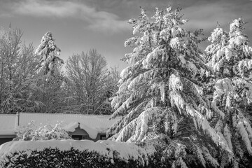 View of Canadian countryside house in Quebec in winter after a heavy snowfall