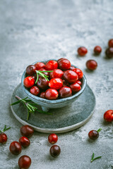 Organic Cranberries in a bowl on grey background