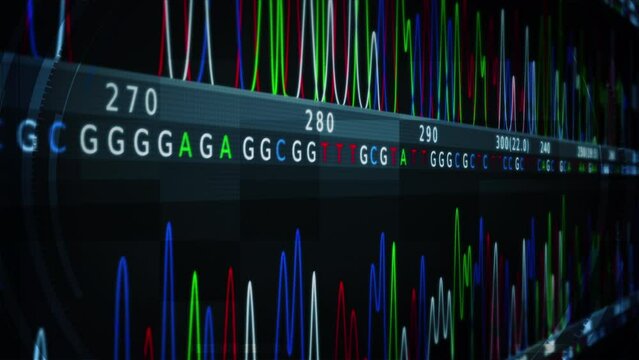 DNA Genomes Sequencing, Deoxyribonucleic Acid Genetic Map and Genome Sequence Analyze. Scientific Animation of Genetic Graph showing ACGT values. Loopable