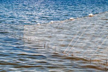 Fishing nets wall with white floats for fishing in sea