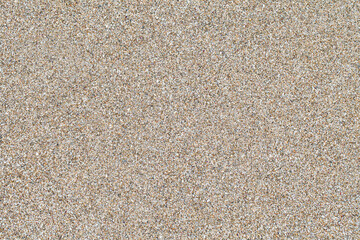 gray beach sand from small parts of shells close-up, uniform texture background