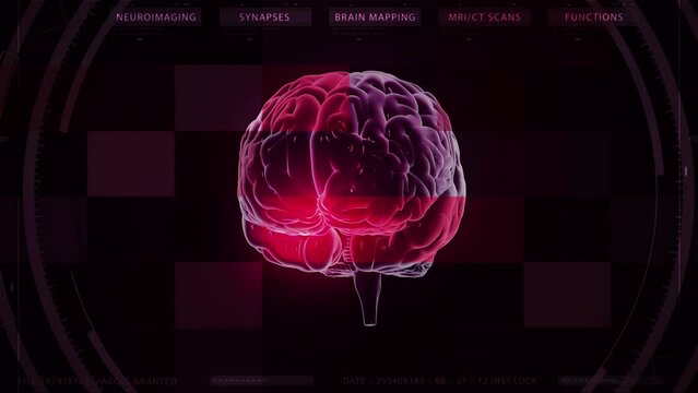 Animation of Rotating Brain Model with Neural Network Impulses Showing Brainstorming Neuronal Activity and Areas of the Organ. Artificial Intelligence Interface Neuro Imaging, Brain Mapping.
