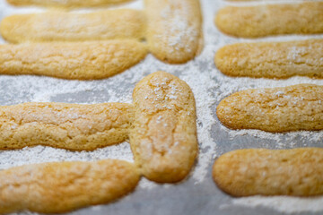 bizcochos de soletilla caseros