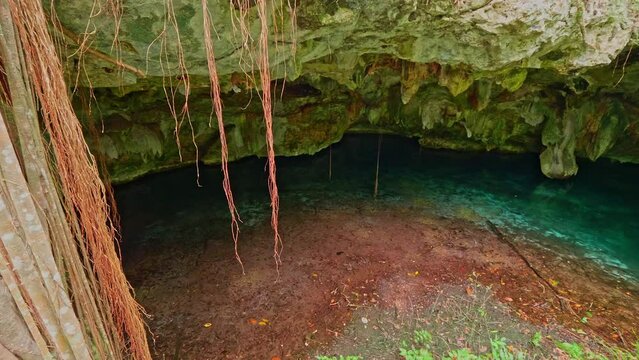 Pacha cave diving, Tulum, Cotubanama national park in dominican republic, padre nuestro section with typical vegetation inside and quarries such as the cueva de padre nuestro and cueva del chico. 
